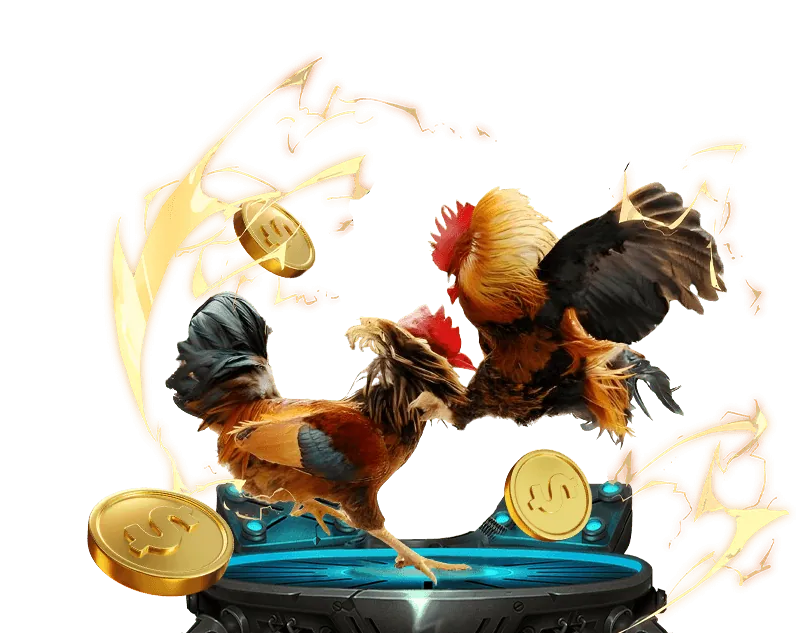 Quy trình rút tiền tại sao win